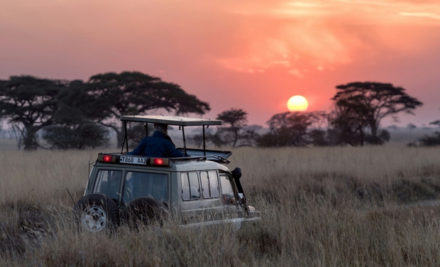 featured image thumbnail for post Wycieczka na safari, co warto wiedzieć?